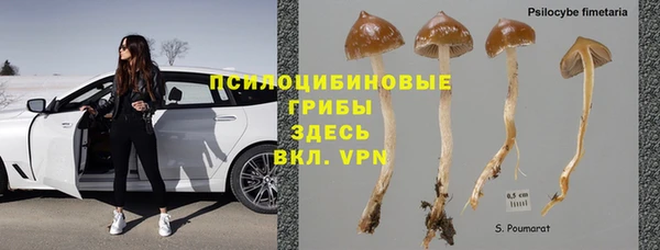 мяу мяу мука Покровск