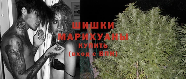 дурь Галич