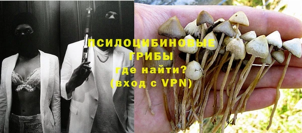 стафф Покачи