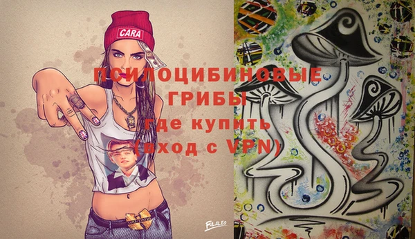 стафф Покачи