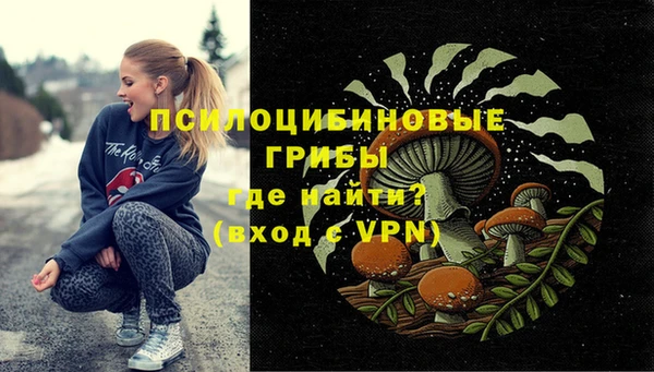 стафф Покачи