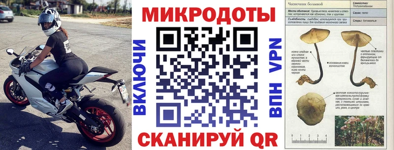 купить наркотики сайты  Туймазы  omg ССЫЛКА  дарк нет формула  Галлюциногенные грибы Cubensis 