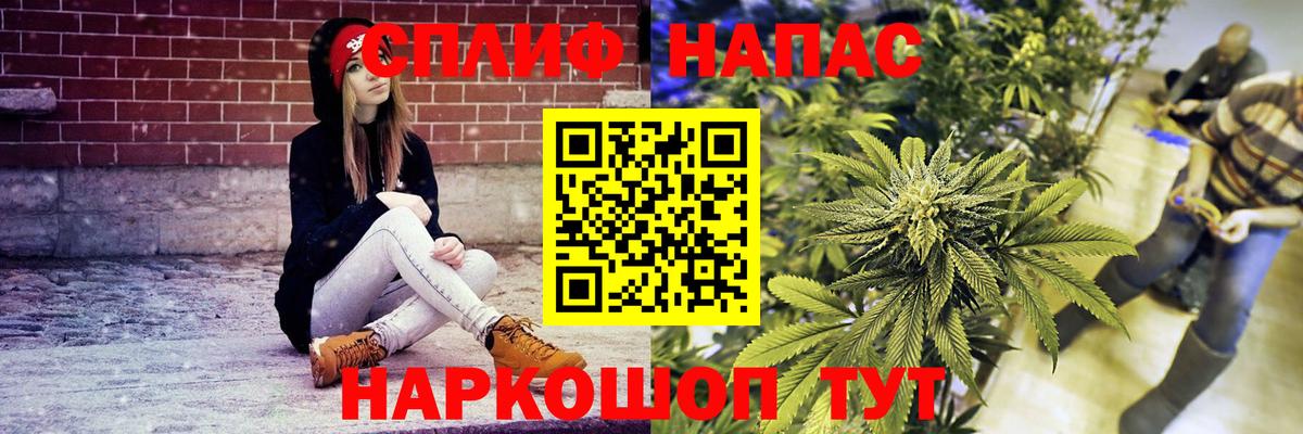 Бошки марихуана сатива  Вход с VPN  Туймазы  Бошки Шишки семена 